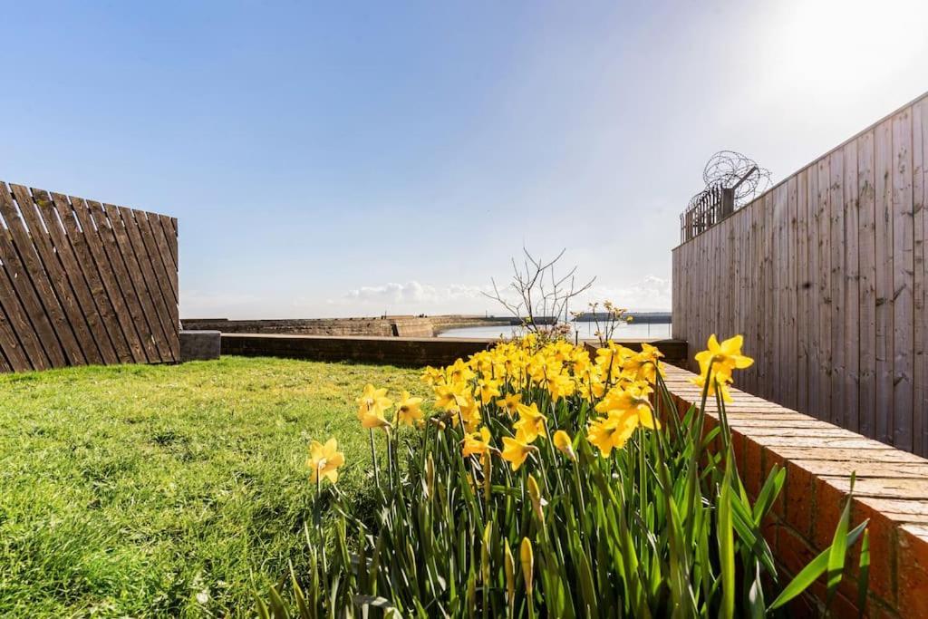Stunning Ground Floor Hartlepool Marina Apartment ภายนอก รูปภาพ